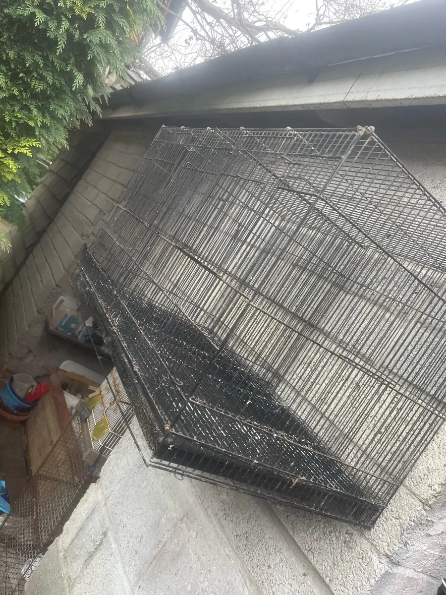 Bird cage - Image 2