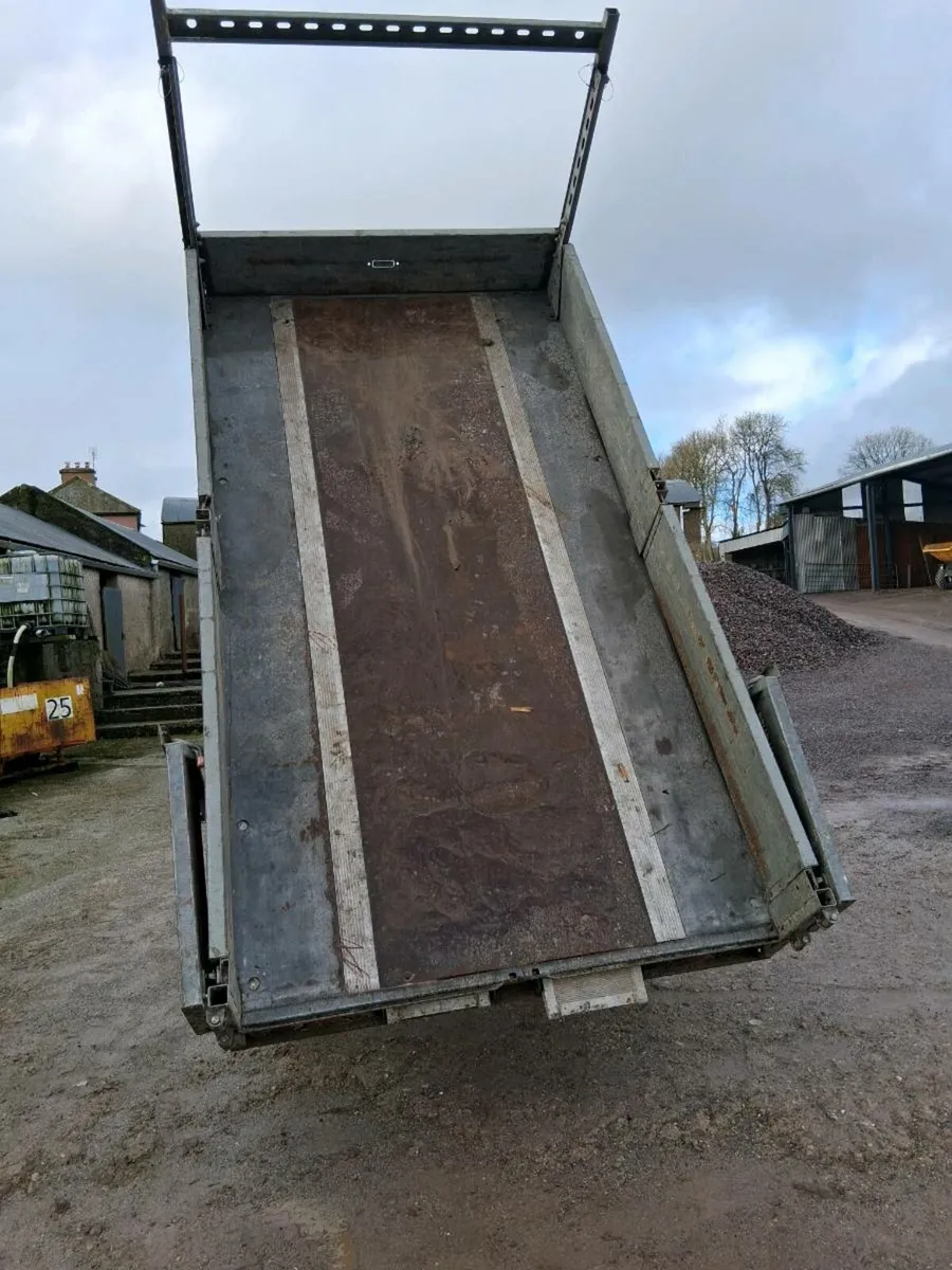 Brian james tipper - Image 4