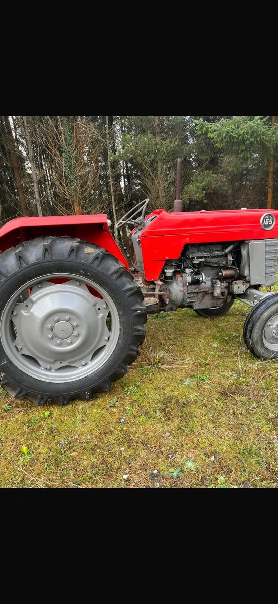 Massey Ferguson 165 MULTI POWER - Image 1