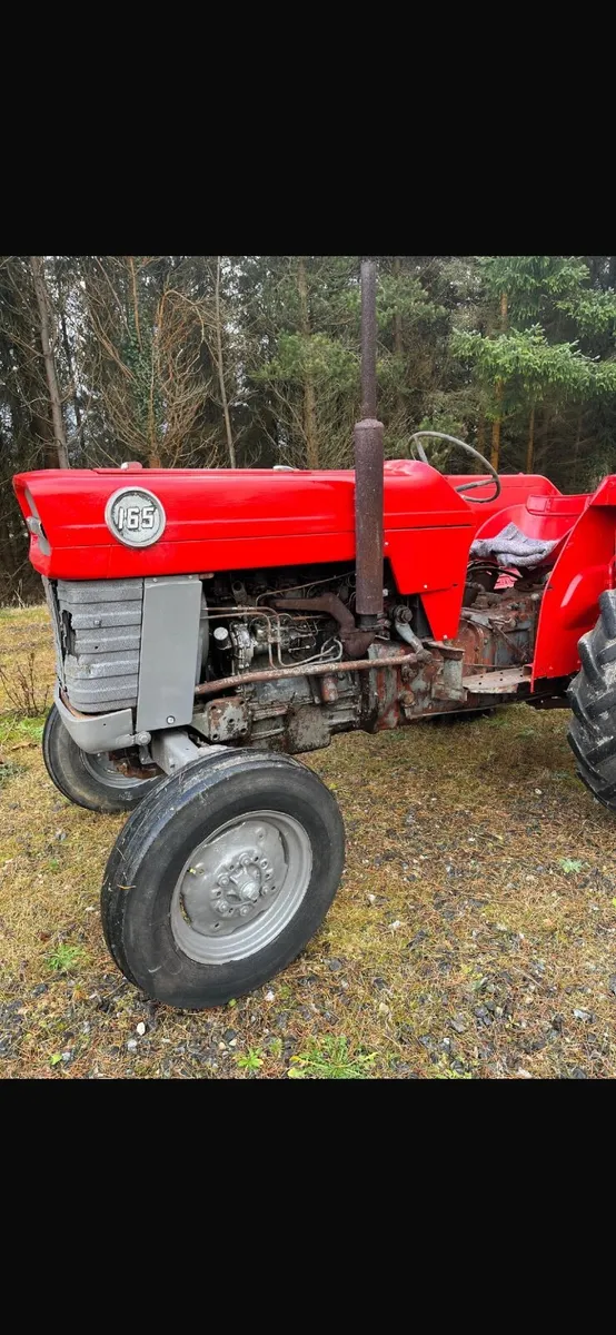 Massey Ferguson 165 MULTI POWER - Image 2