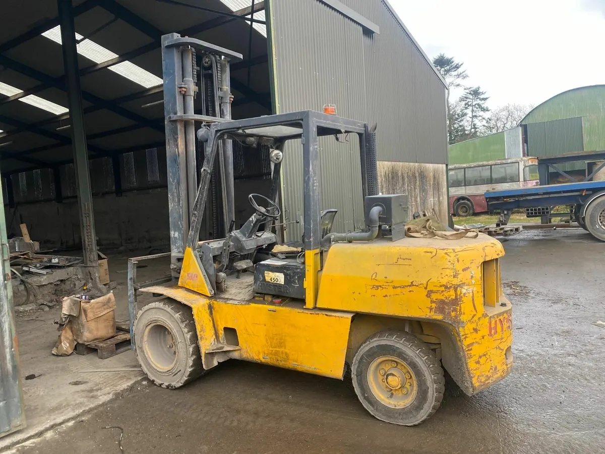 Hyster Forklift 5t Double Mast Construction Type - Image 2
