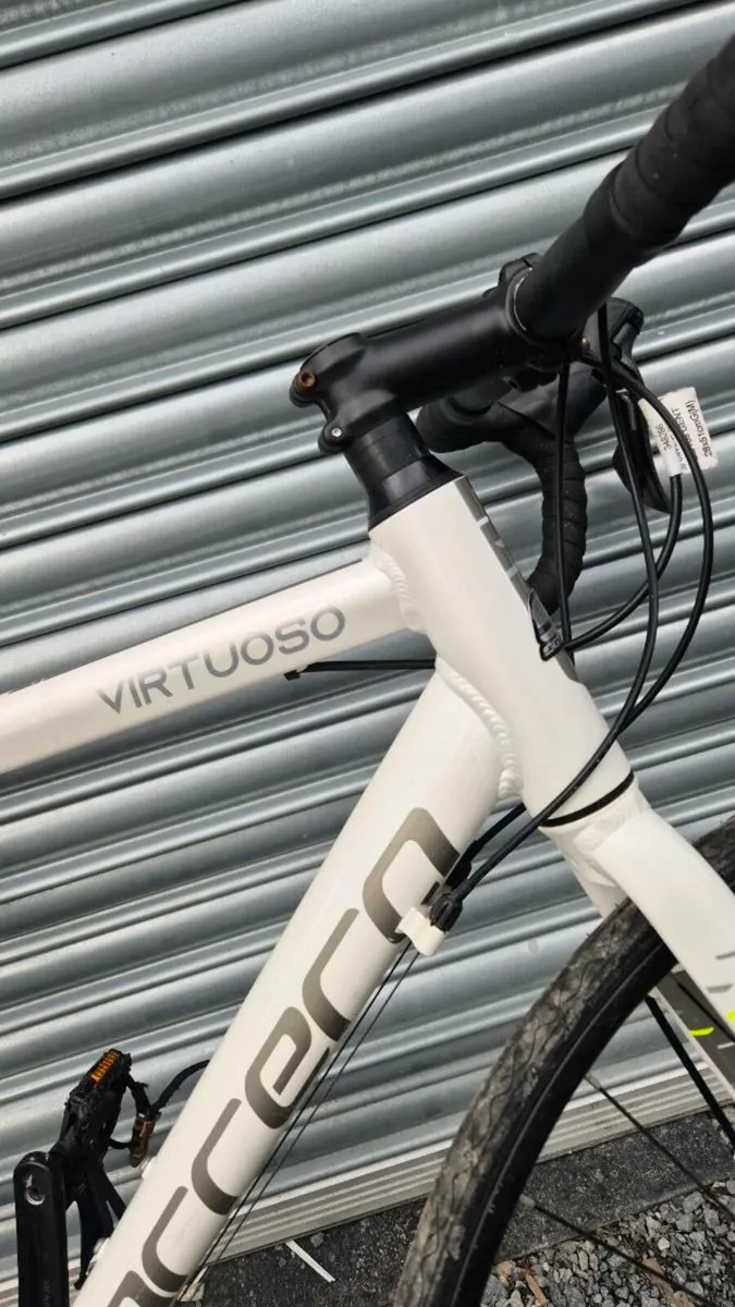 20" MANS CARRERO VIRTUOSO - Image 2