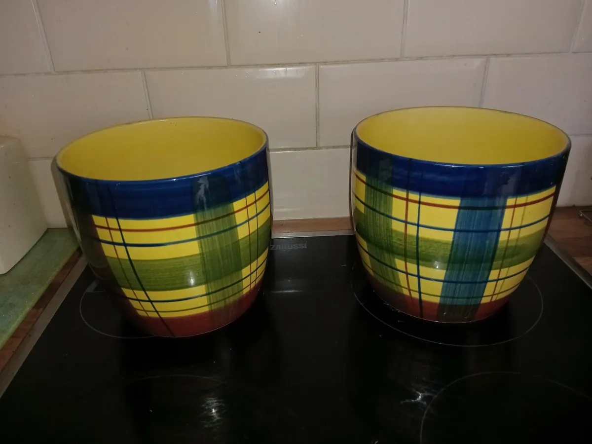 2 FLOWER POTS 7 INCHES HIGH BY 7 INCHES IN DIAMETE - Image 1