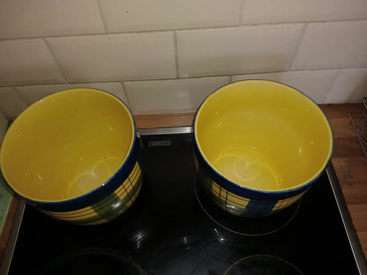 2 FLOWER POTS 7 INCHES HIGH BY 7 INCHES IN DIAMETE - Image 3