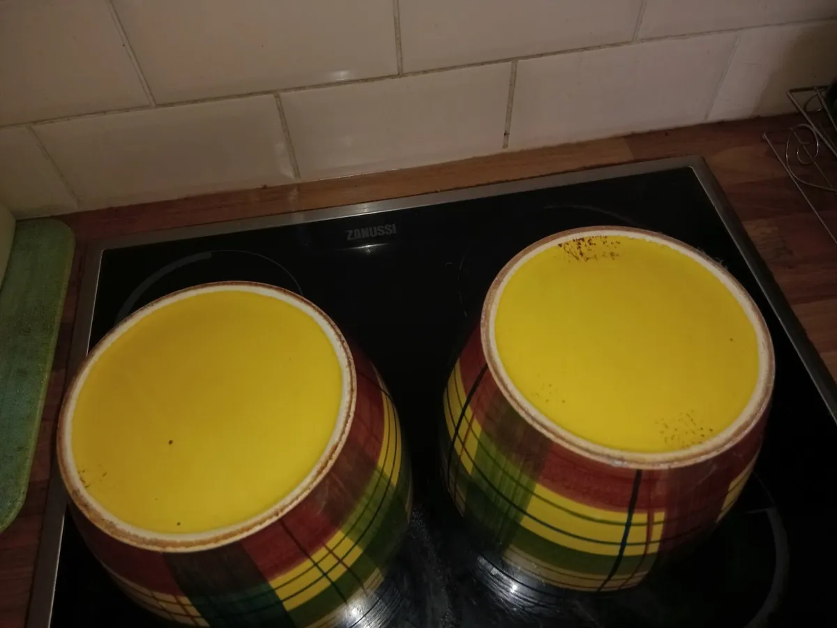 2 FLOWER POTS 7 INCHES HIGH BY 7 INCHES IN DIAMETE - Image 2