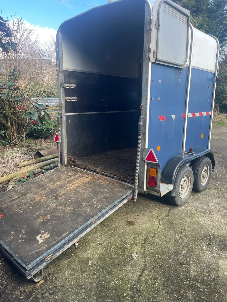 Ifor Williams 505R Horse Box - Image 3