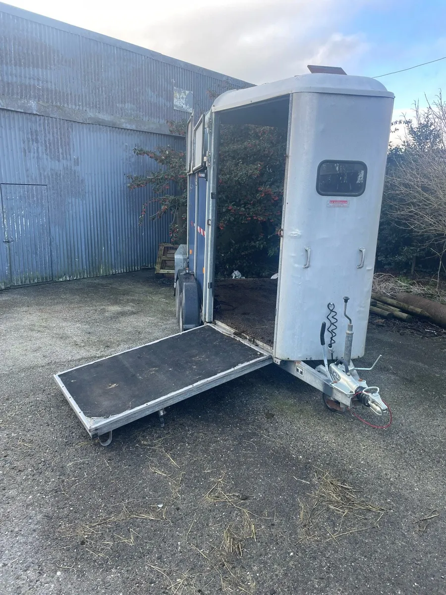 Ifor Williams 505R Horse Box - Image 4