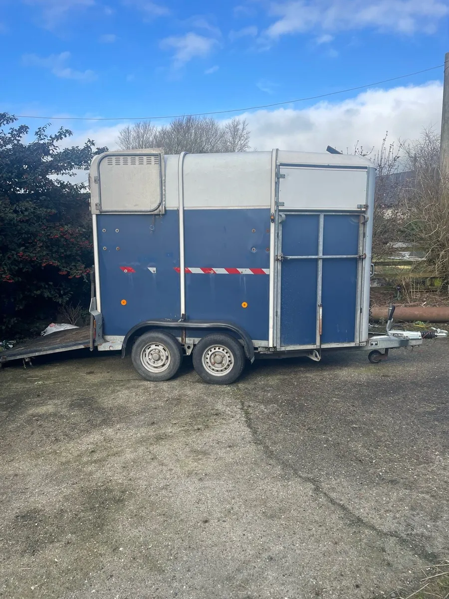 Ifor Williams 505R Horse Box - Image 2