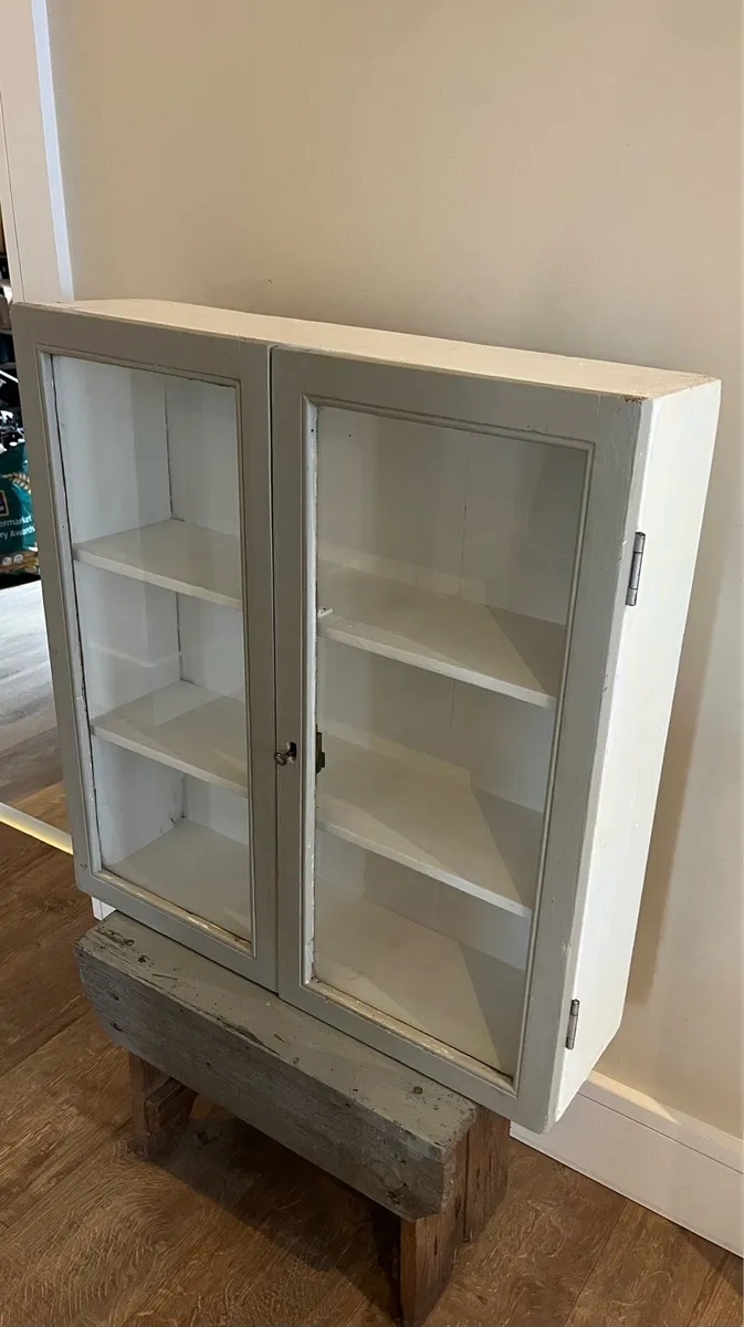 Antique Pine Glazed Doctors/Medicine Cabinet - Image 4