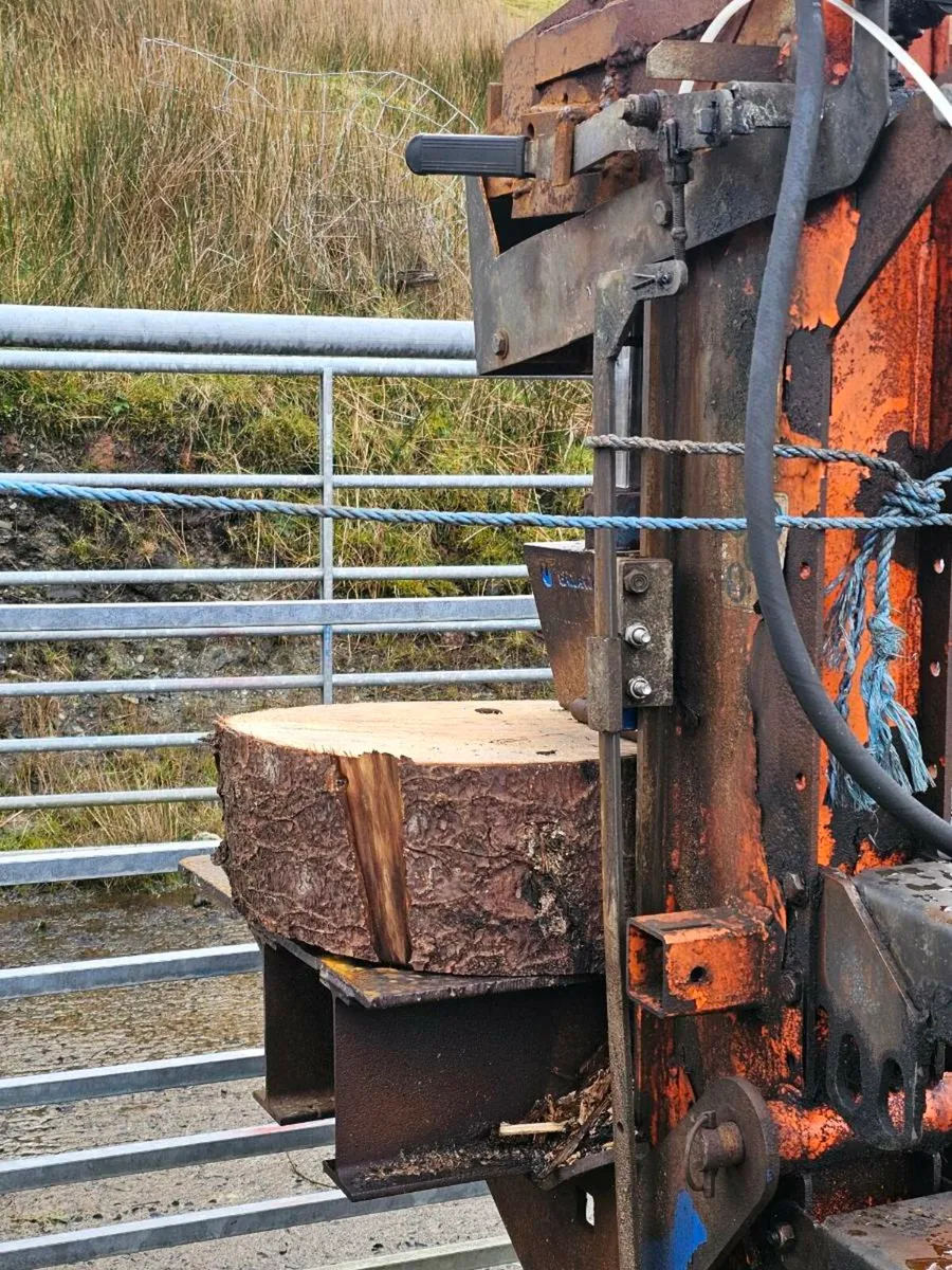 Log splitter - Image 2