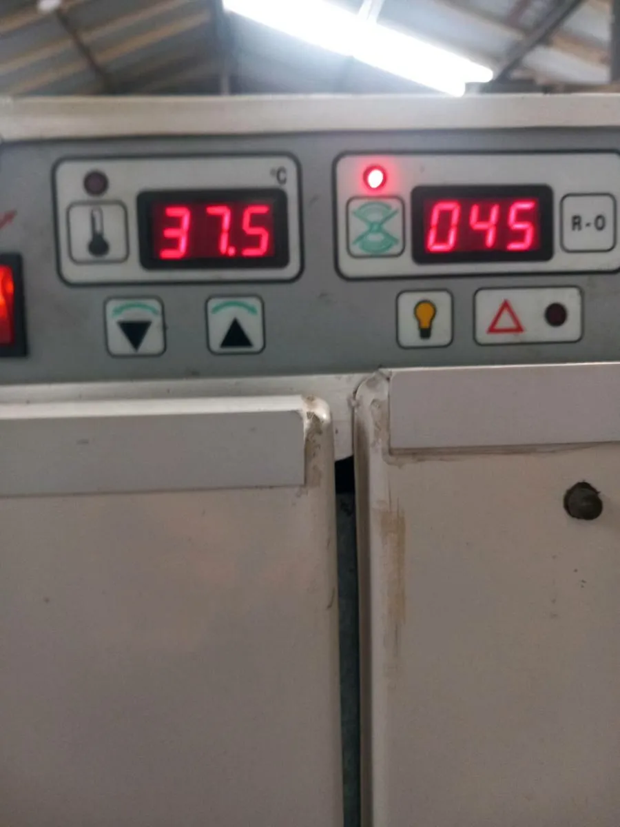 masalles incubator 65digit - Image 3