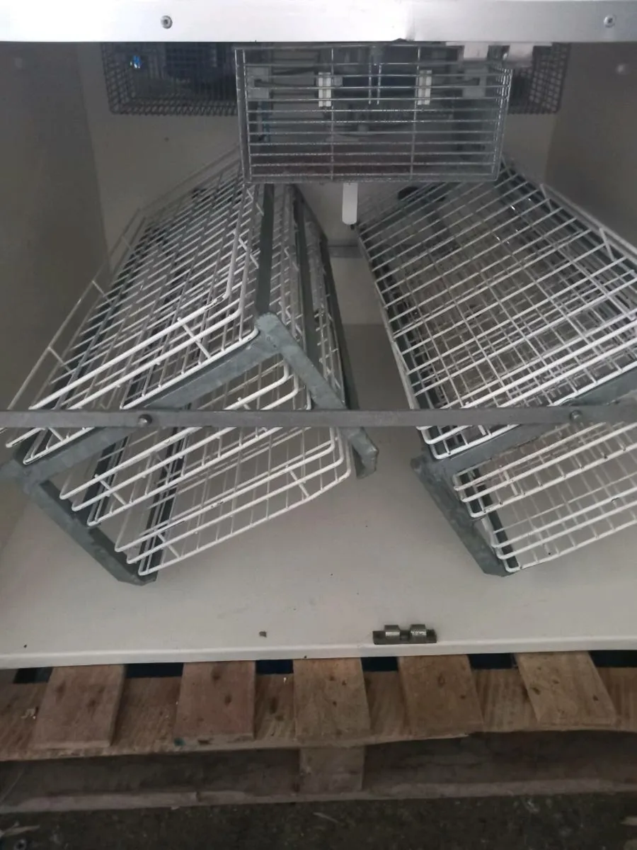 masalles incubator 65digit - Image 4