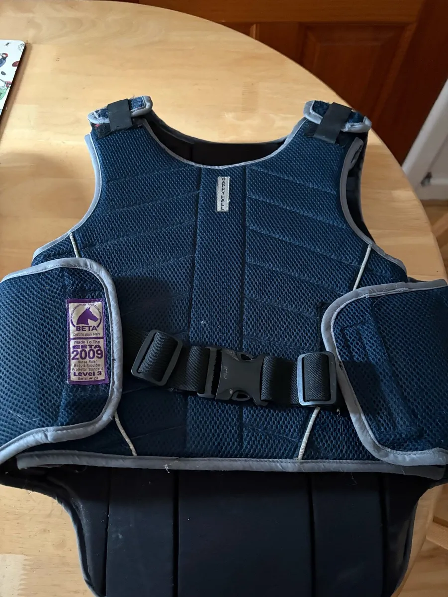 Horse riding Back/ body protector - Image 1