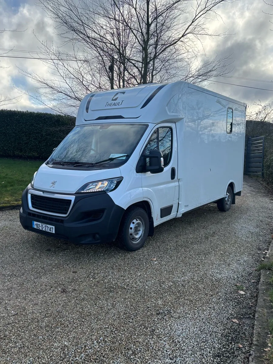 2019 Theault 2 horse 3.5Tonne - Image 1