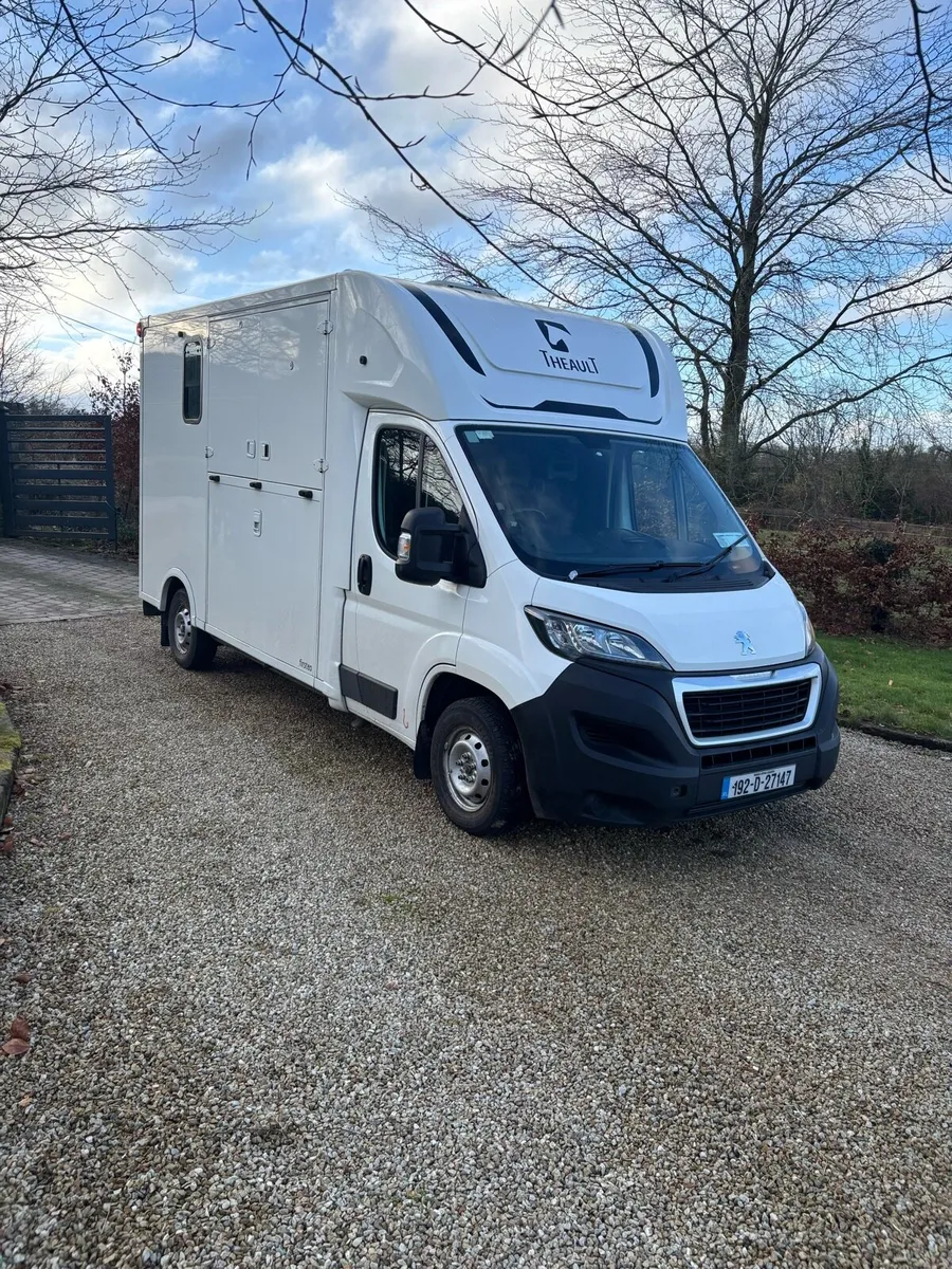 2019 Theault 2 horse 3.5Tonne - Image 2