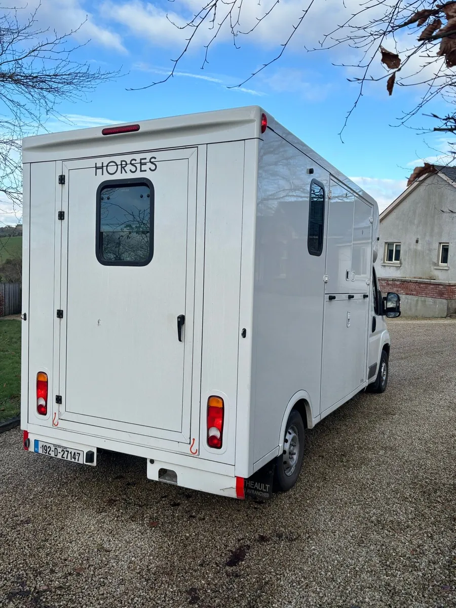 2019 Theault 2 horse 3.5Tonne - Image 3