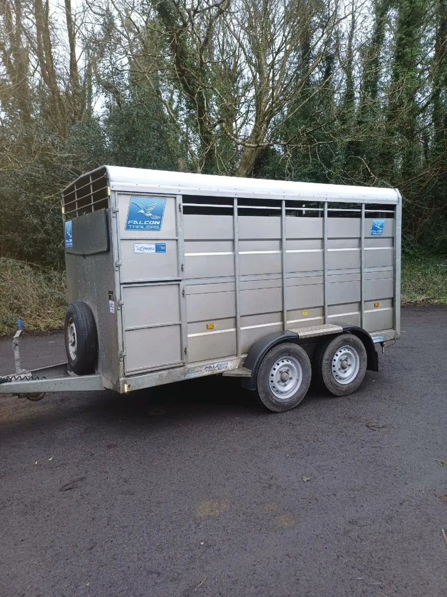 Falcon 12 x 6 cattle trailer - Image 1