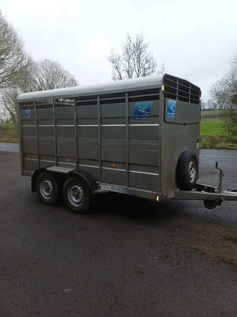 Falcon 12 x 6 cattle trailer - Image 3