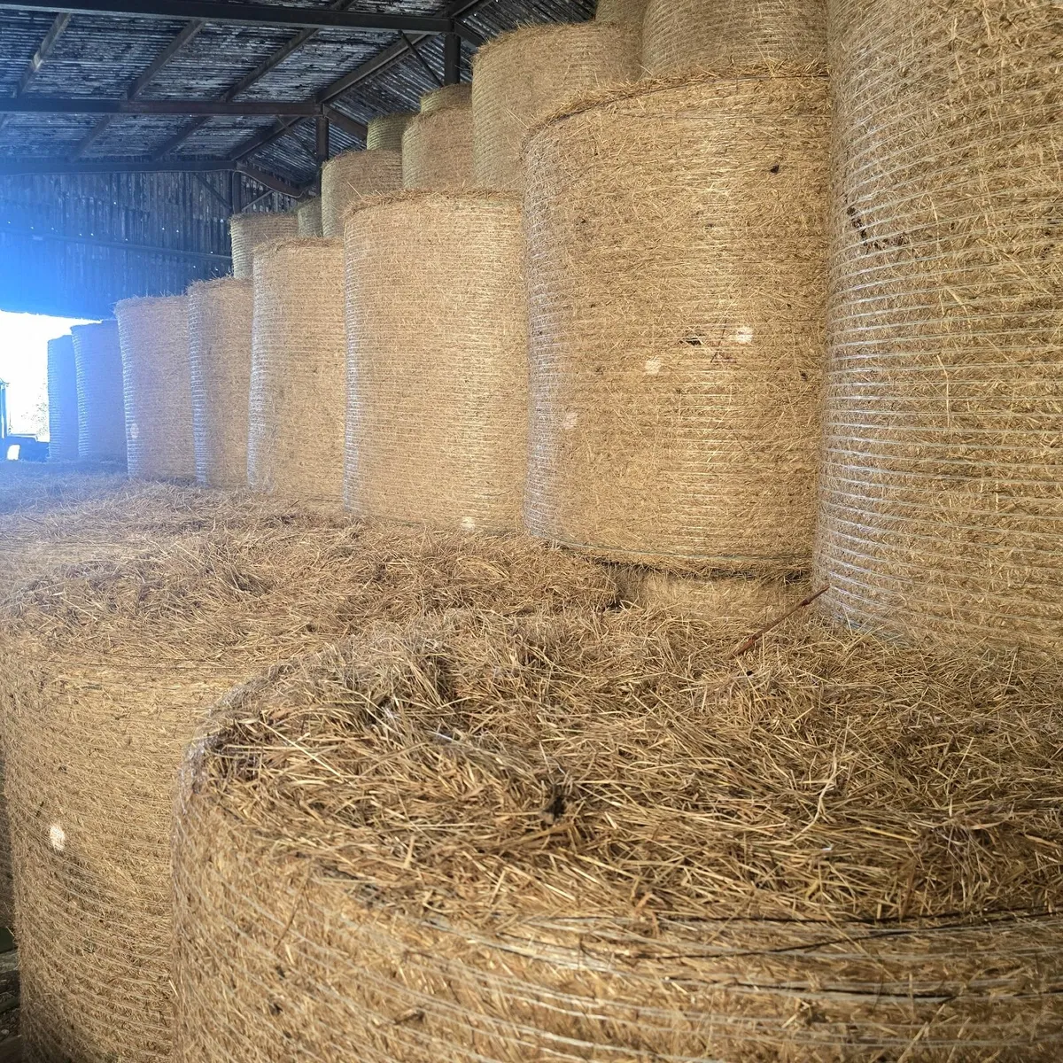 Hay 2025 - Image 1