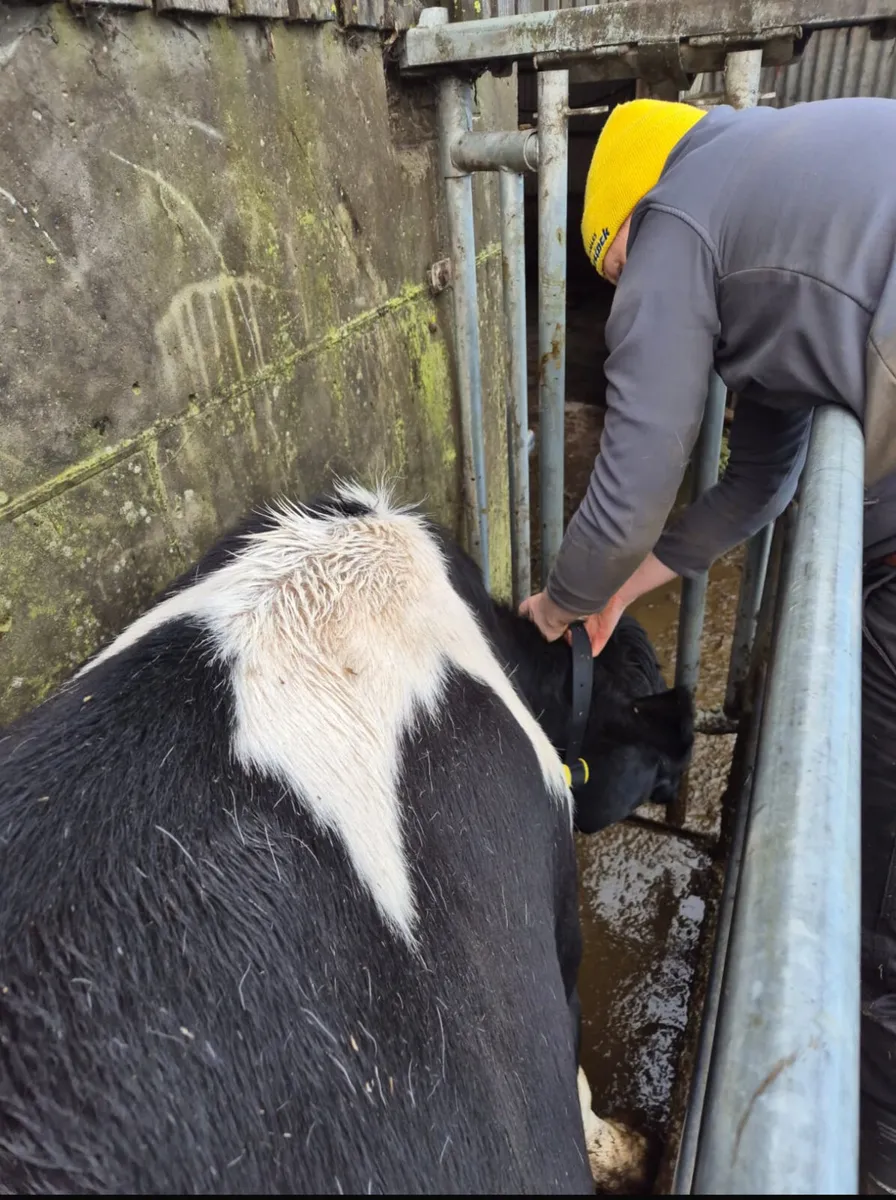 Heat & Health alerts - Image 3