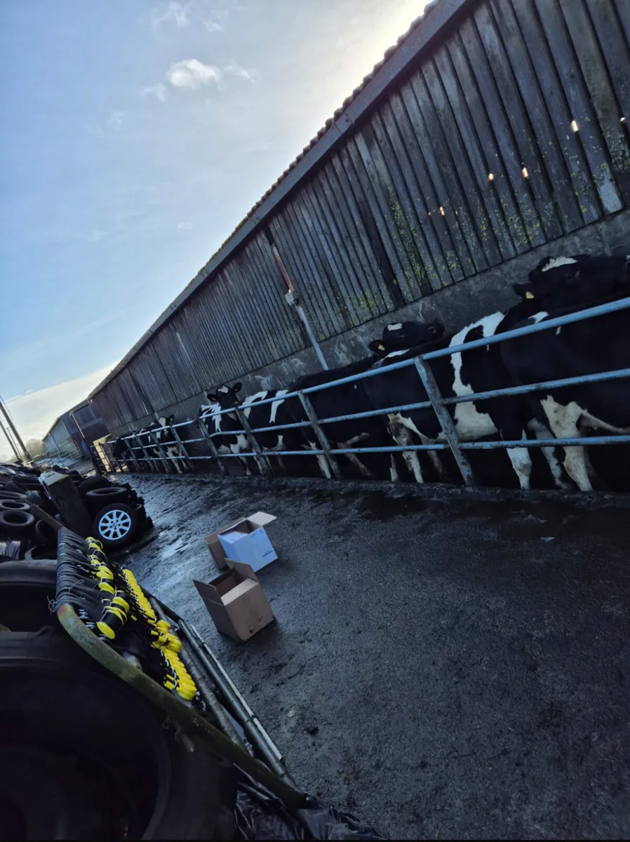 Heat & Health alerts - Image 2