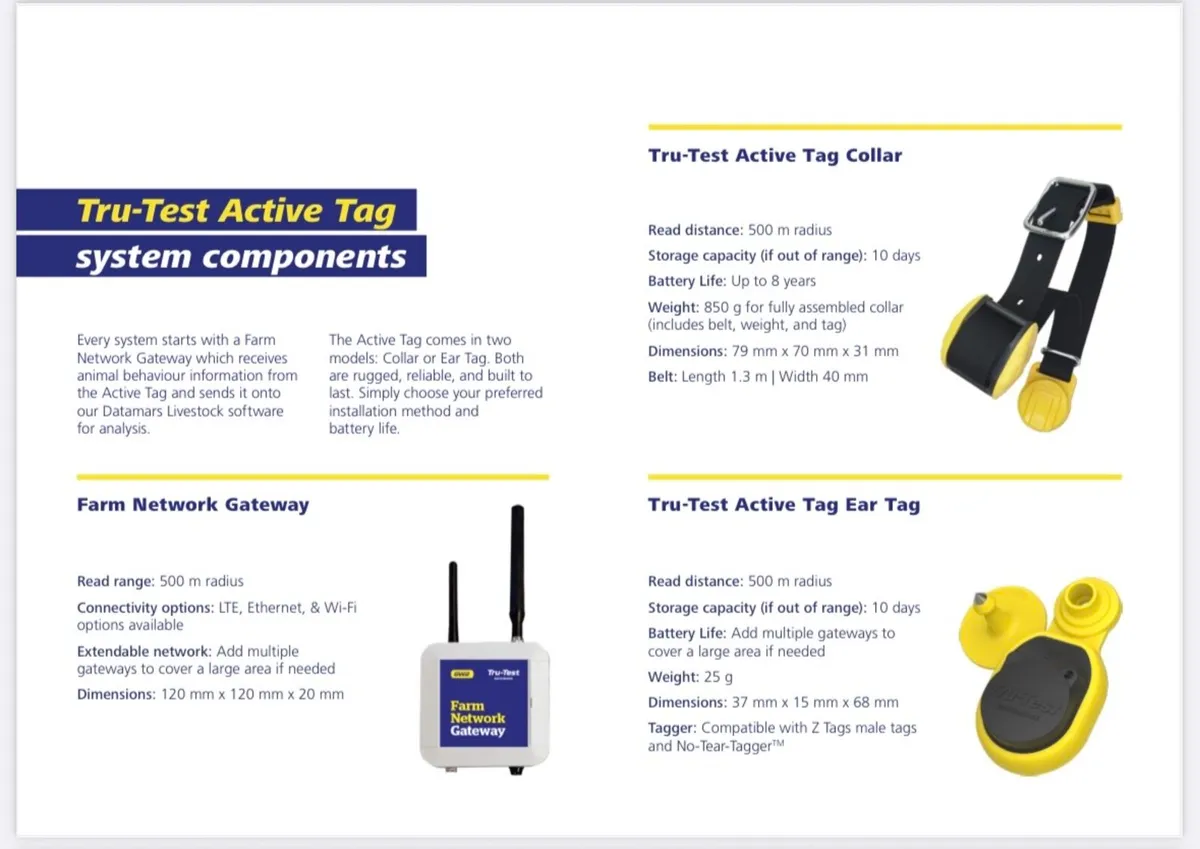 Heat & Health alerts - Image 4