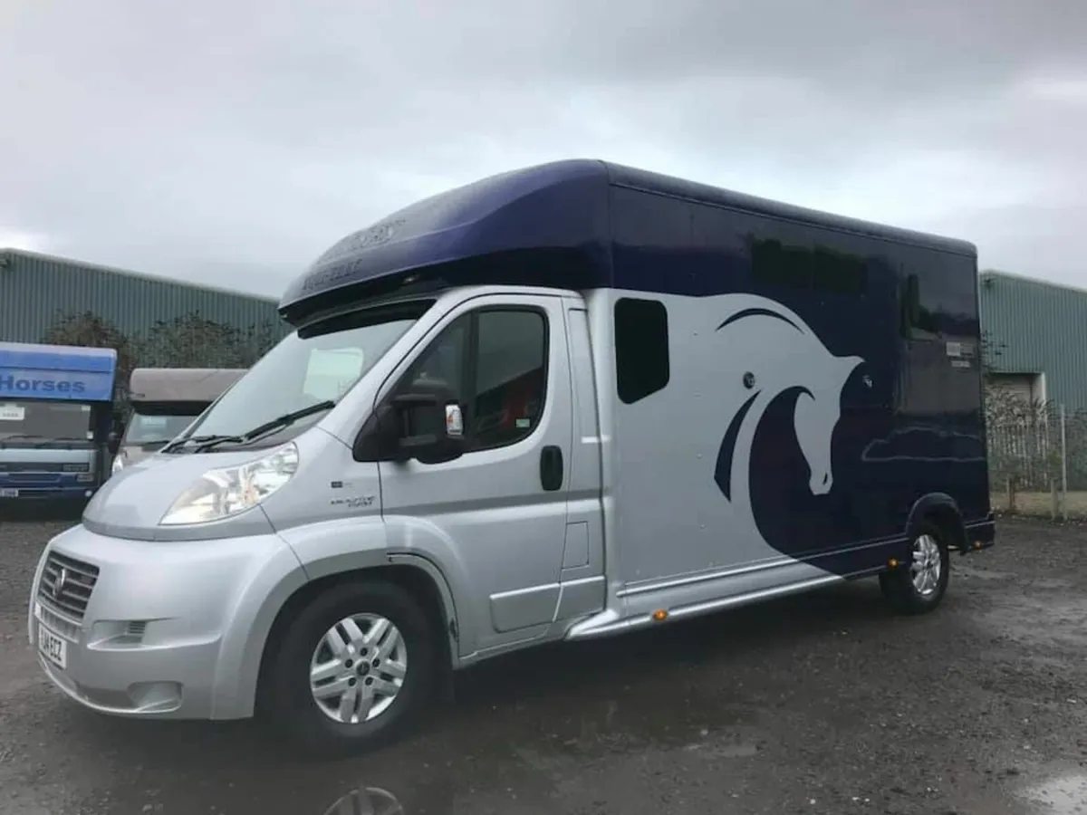 2014 FIAT DUCATO 5 Seater 3.5t Automatic Horsebox - Image 1