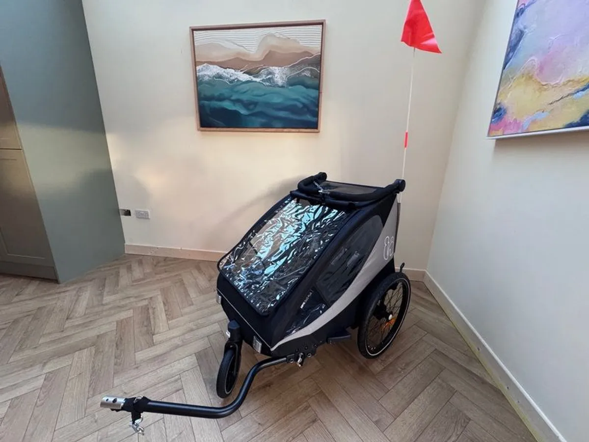 Bike Trailer - Hauck Dryk Duo Plus AS NEW - Image 1