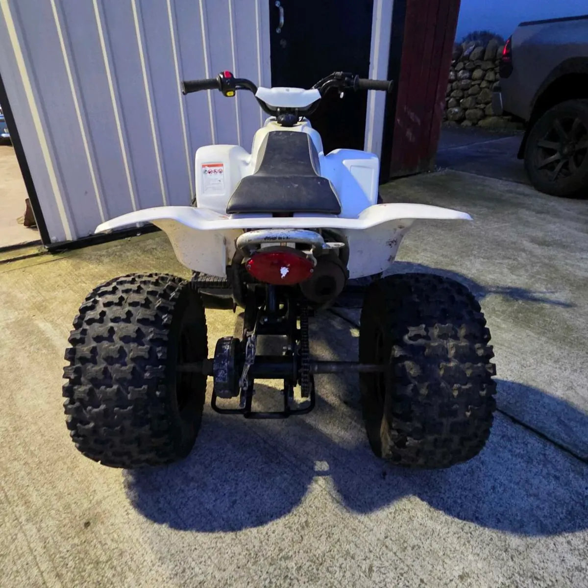Quadzilla 100cc - Image 3