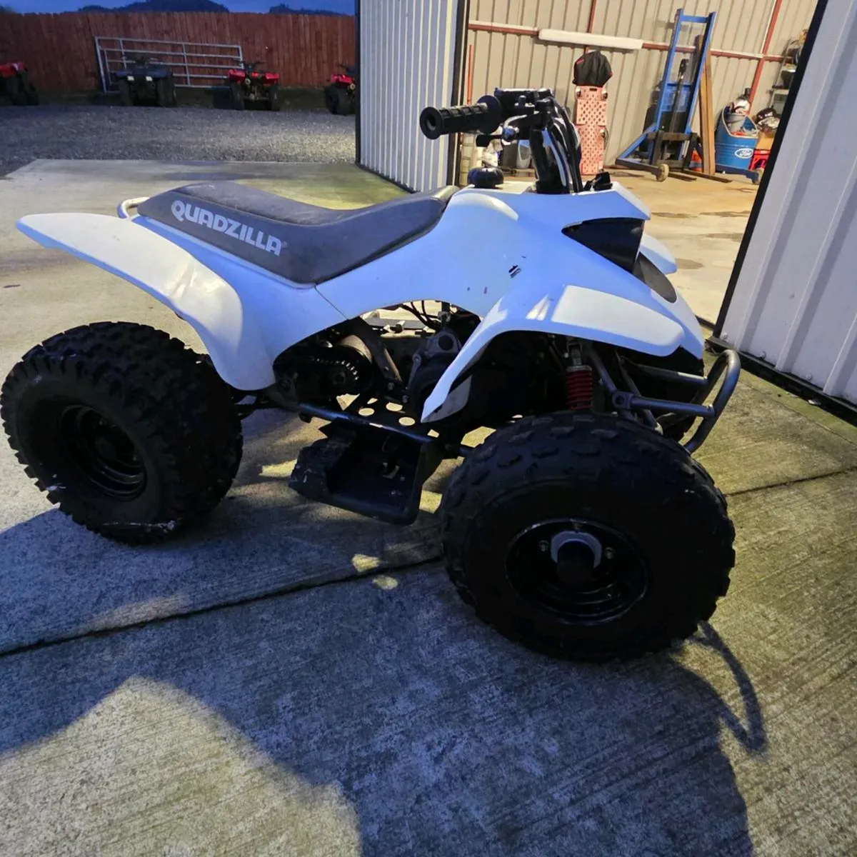 Quadzilla 100cc - Image 4