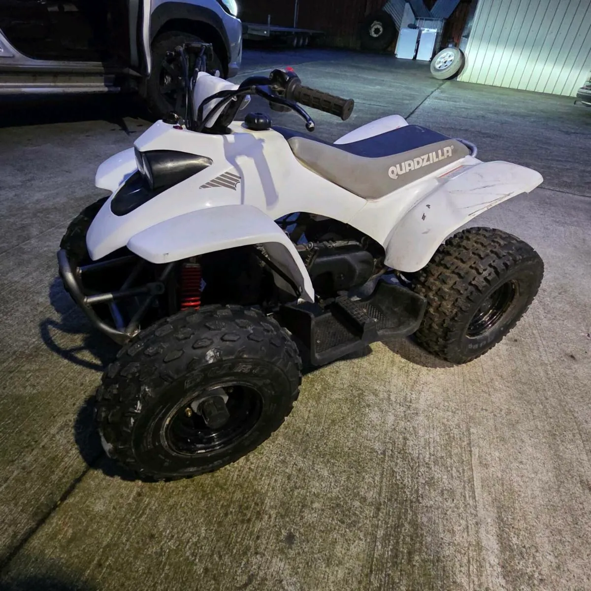 Quadzilla 100cc - Image 1