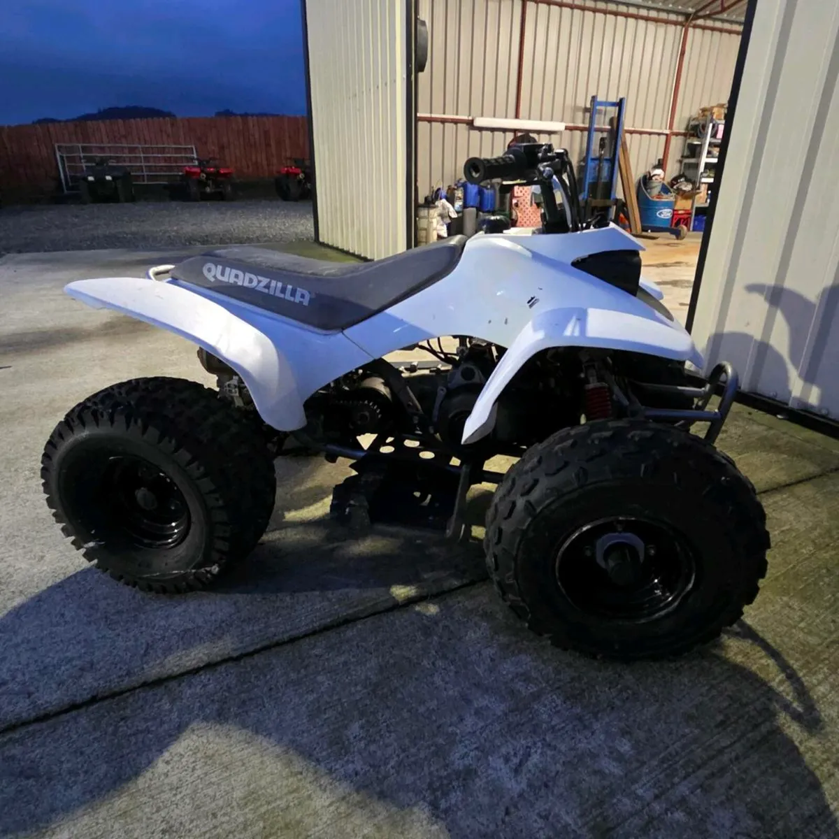 Quadzilla 100cc - Image 2