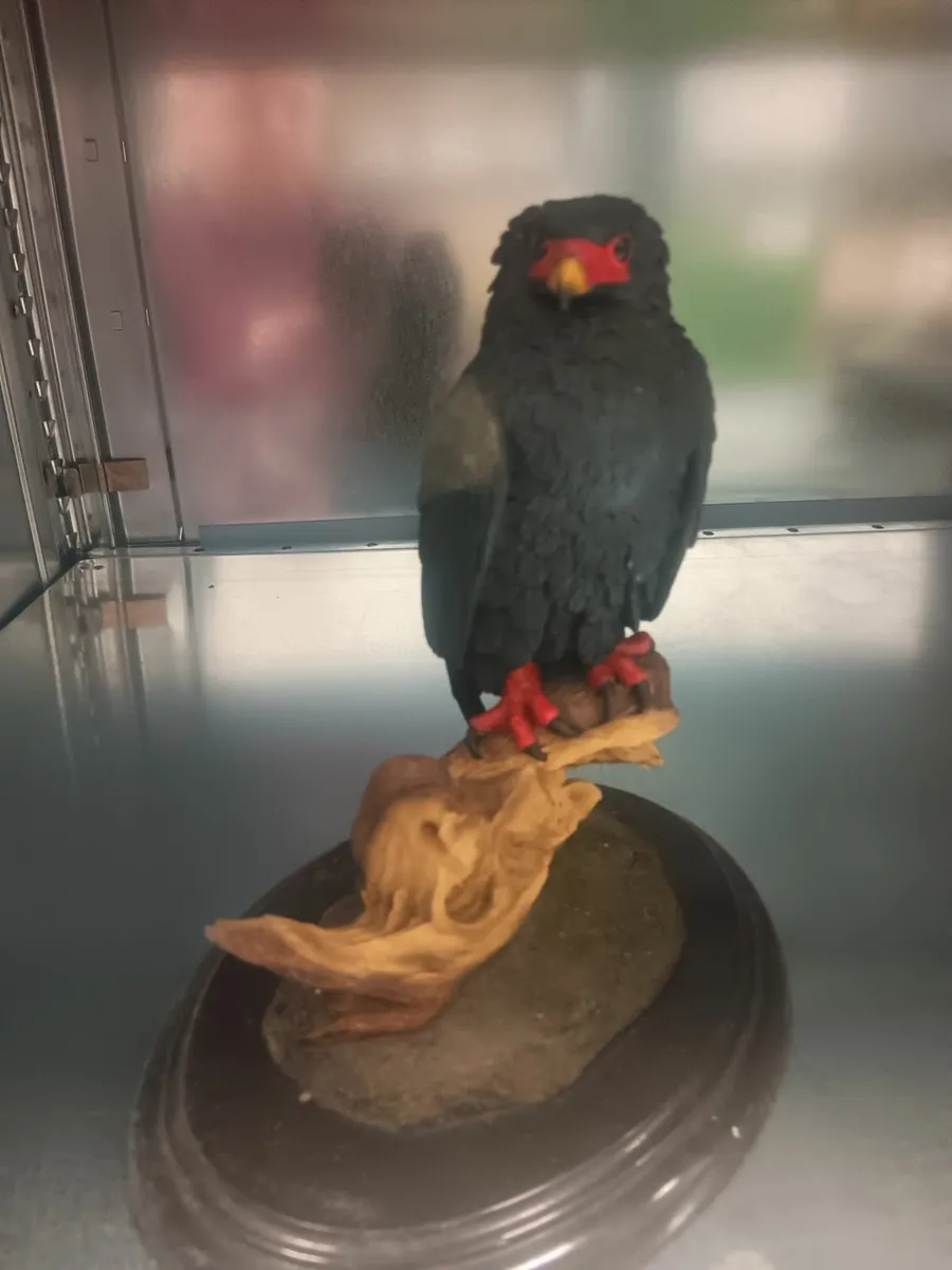 Wildlife figurine - Image 1