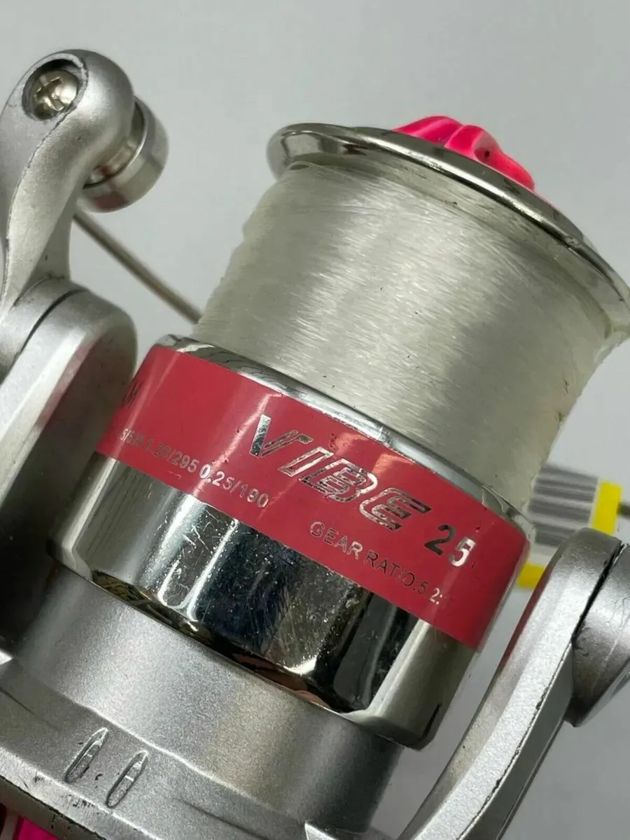 Dam Vibe Reel - Image 3