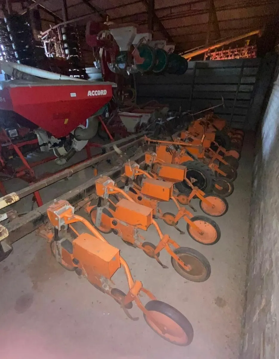 Stanhay 12 row beet drill - Image 2