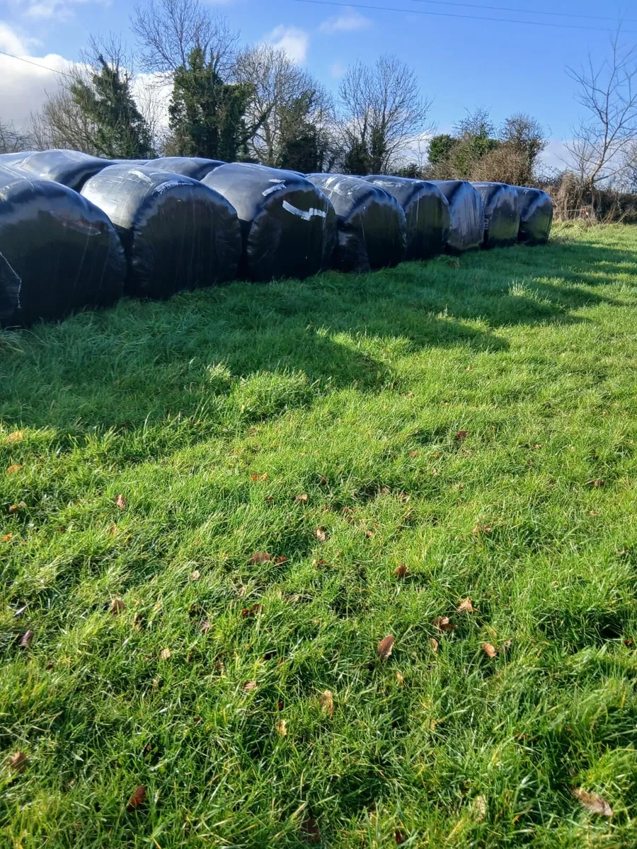 Silage - Image 1