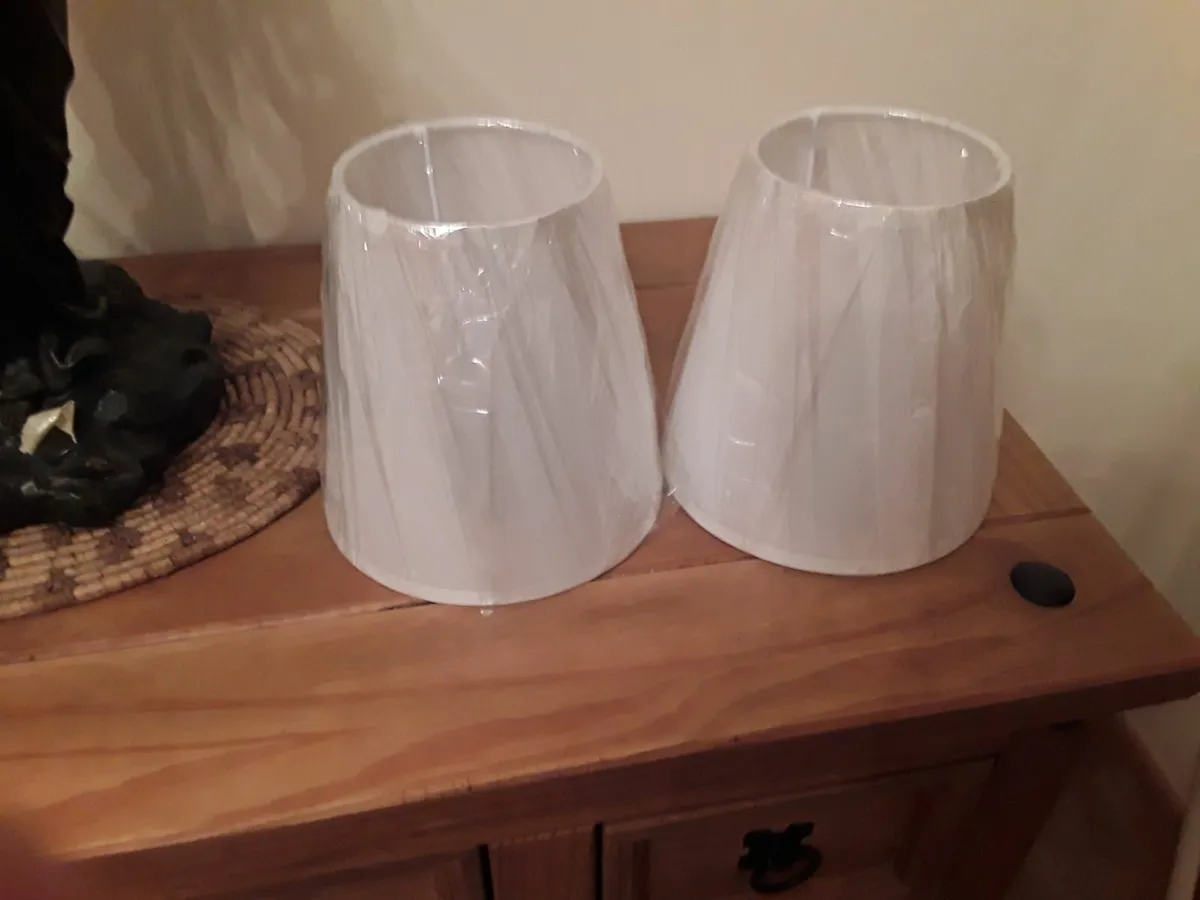 Two brand new shades pendant still in the wrapper - Image 1