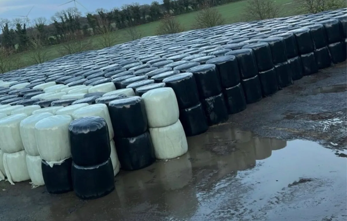 Silage ..Free delivery