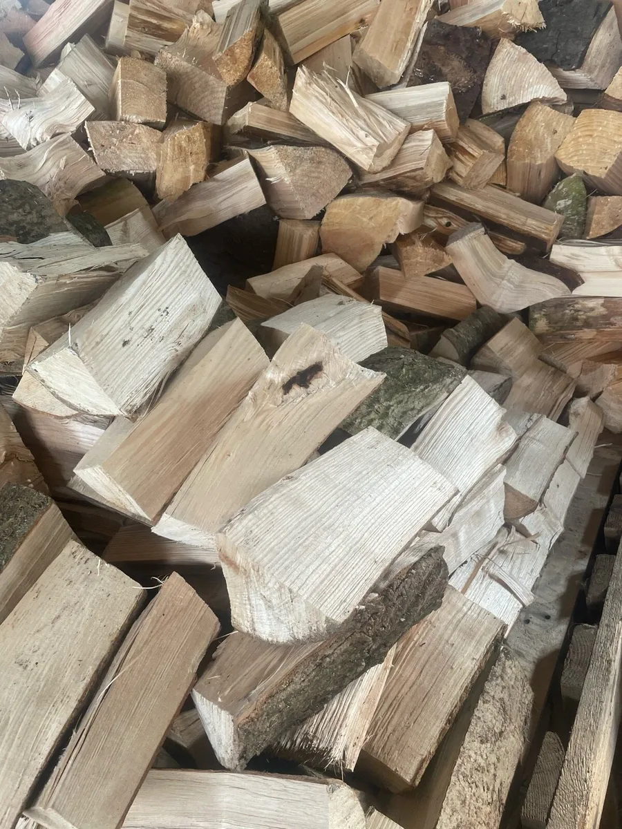 Firewood - Image 4