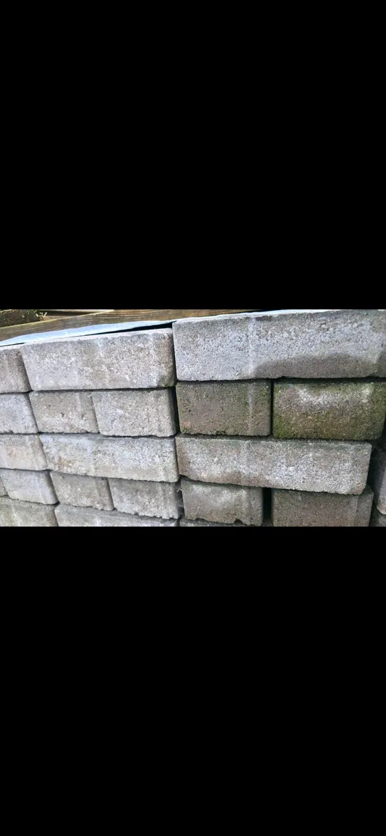 Paving bricks - Image 1