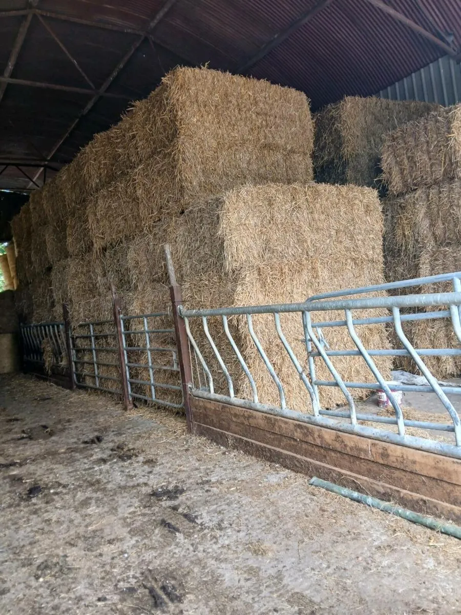 Round and square straw delivered to all of munster - Image 2