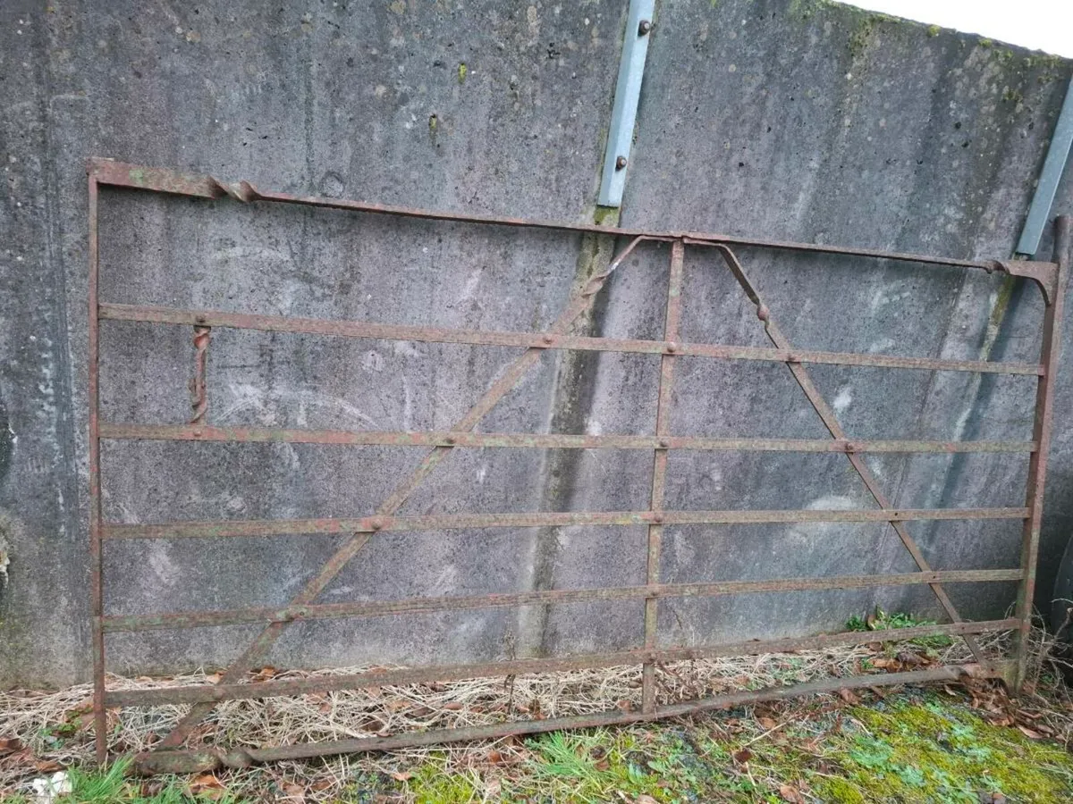 2 Wrought Iron Gates - Image 2