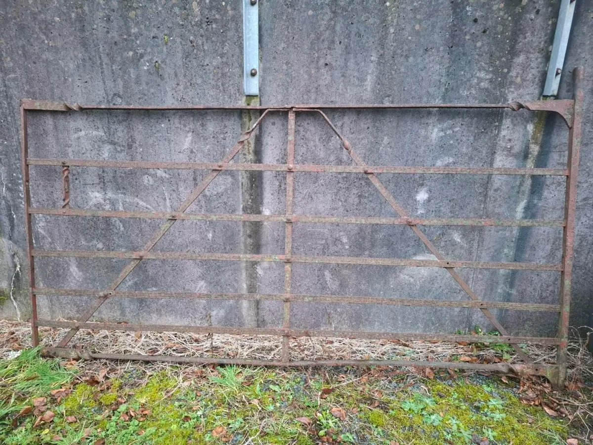 2 Wrought Iron Gates - Image 1