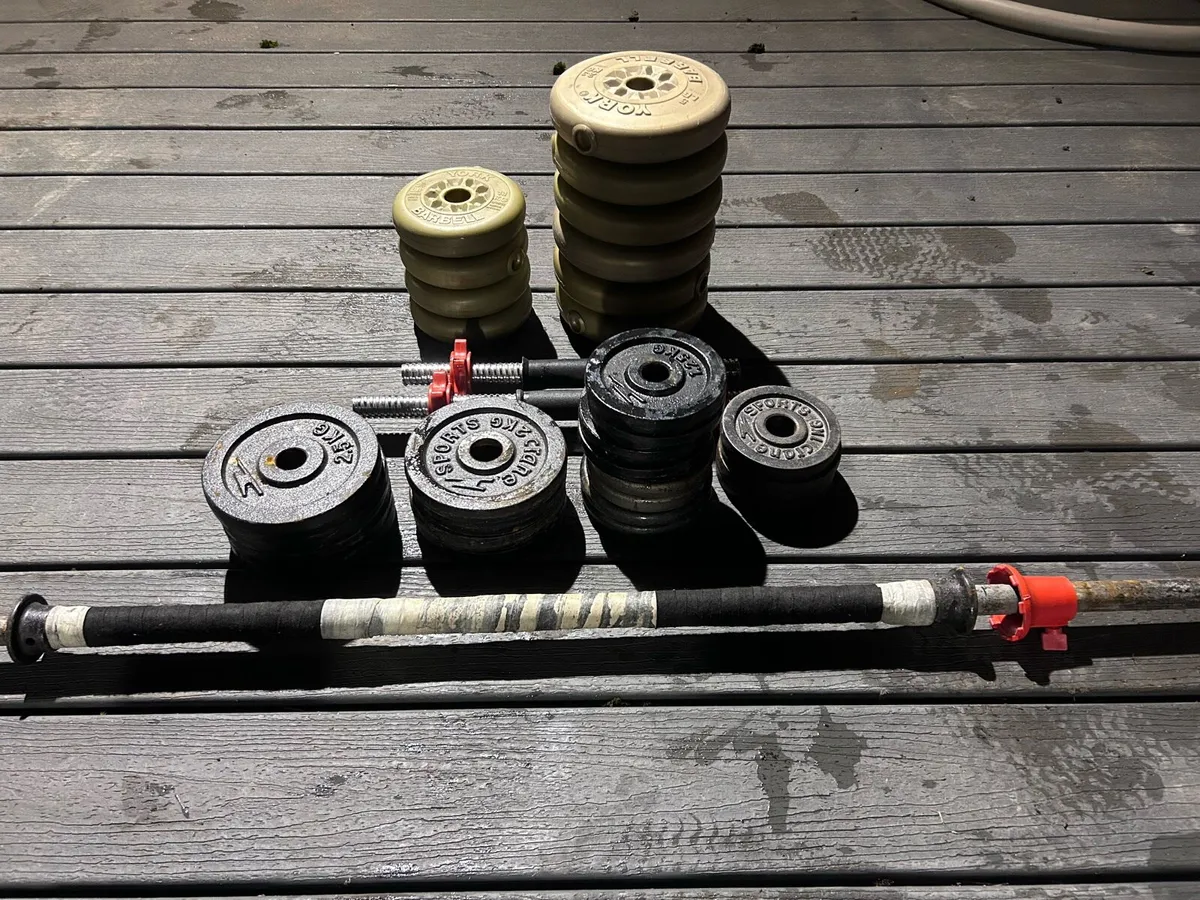 Gym Weights - Image 1