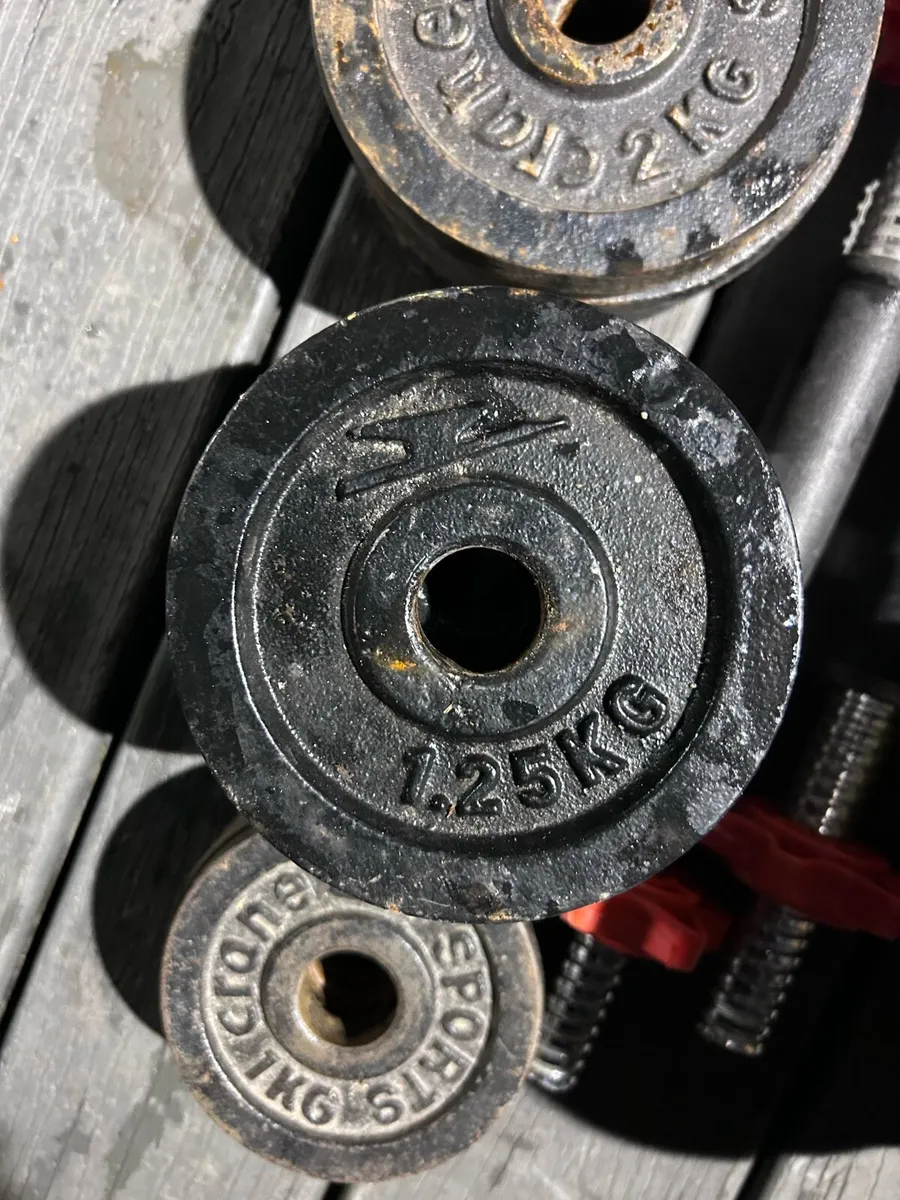 Gym Weights - Image 3