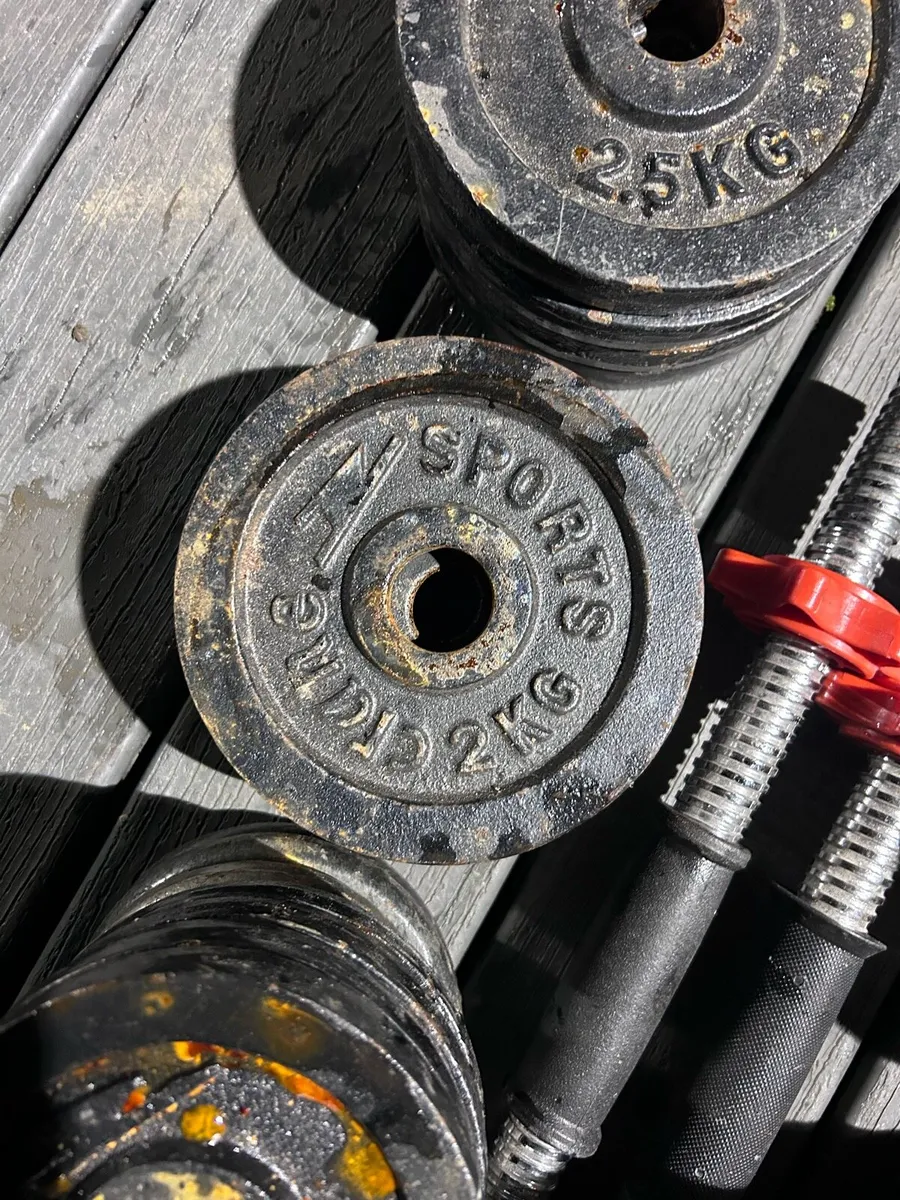 Gym Weights - Image 4