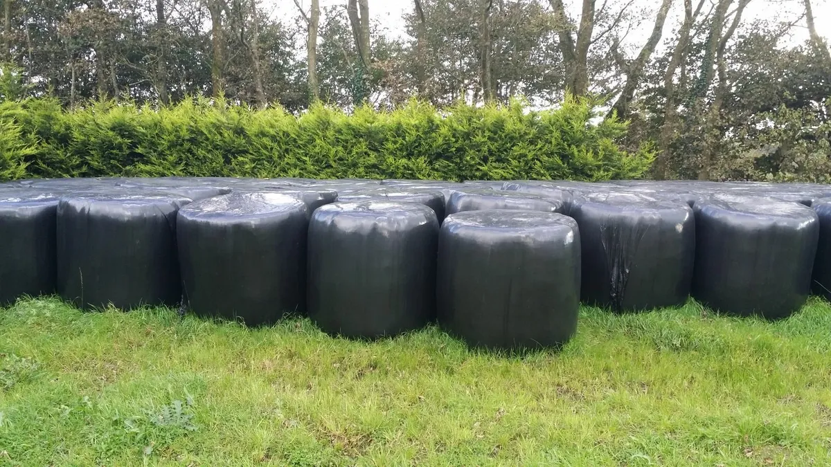 Silage Bales