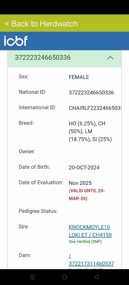 Ennis Mart - 10th February - Image 3