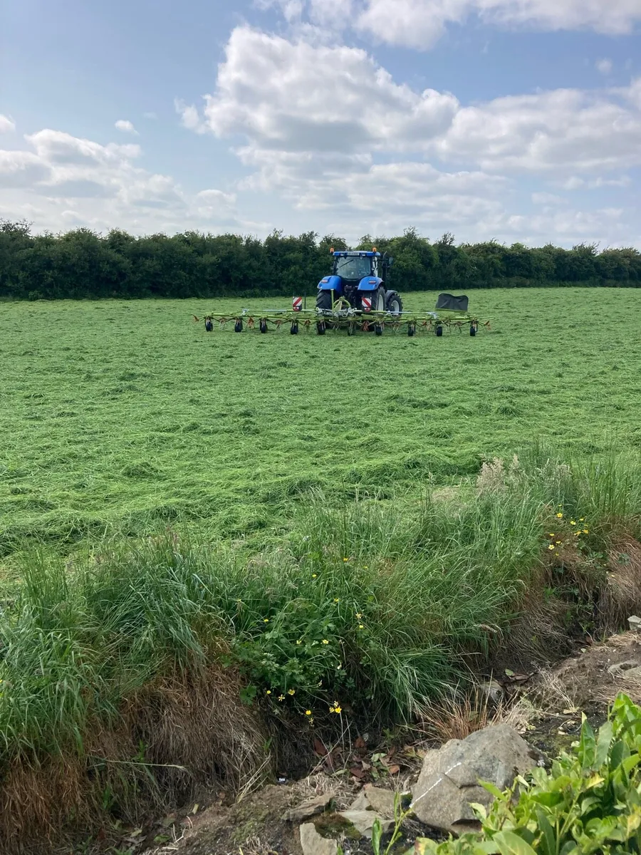 Silage bales - Image 3