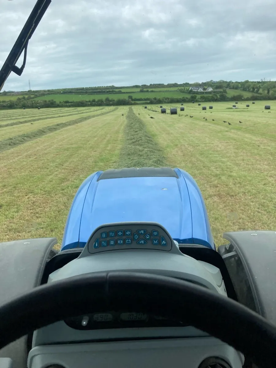 Silage bales - Image 4